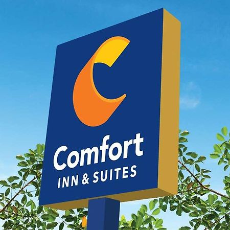 Comfort Inn & Suites Newark Liberty International Airport Exteriér fotografie